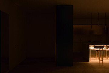 3d visualization of the interior of the hall, city apartment. Render of the Scandinian style interior design. Background for presentation with different lighting.