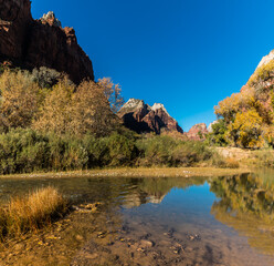 Fall Color in Zion Canyon on The Riverside Trail, Zion National Park, Utah,USA