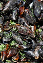 mussels with parsley closeup, vertical