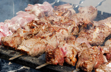 shashlyk cooked outdoors close up, barbecue