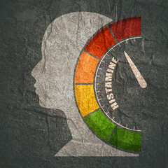 Scale with arrow. The histamine measuring device. Sign tachometer, speedometer, indicator. Head of man silhouette.