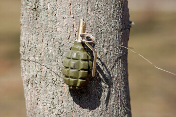 grenade fixed with a wire on a tree