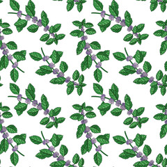 vector seamless pattern with peppermint flowers