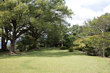 的山荘の広い庭