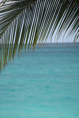 Fototapeta premium Turks and Caicos