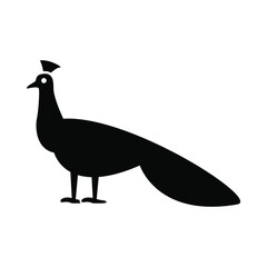 Peacock icon vector graphic illustration