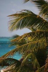 Turks and Caicos
