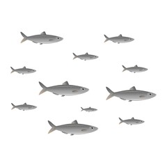 Fototapeta premium cute cartoon flat herrings from side, vector isolated on white, illustration for children