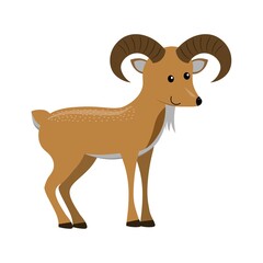 cute cartoon flat goat urial from side, vector isolated on white, illustration for children