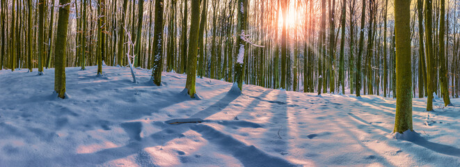 zimowy dzień w rezerwacie Kamienna Góra na Warmii w północno-wschodniej Polsce - obrazy, fototapety, plakaty