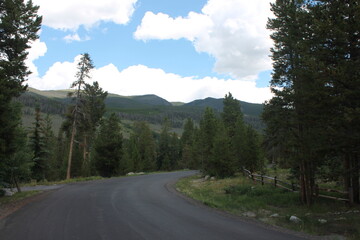 Naklejka premium nature