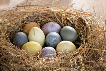 Naklejka na ściany i meble Easter composition - colorful Easter eggs painted with natural dyes in a nest of hay