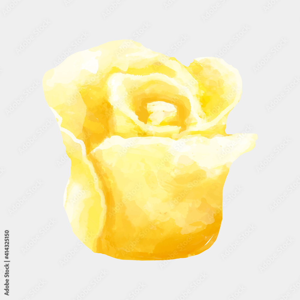 Wall mural Yellow rose flower vector hand drawn cut out