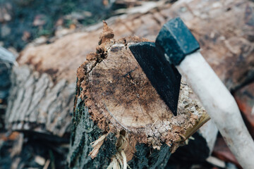 ax sticks out in the tree stump chopping firewood harvesting