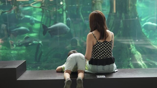 4K clip of a single mother and her child looking at fish at the aquarium. Family activity at the natural history and science museum