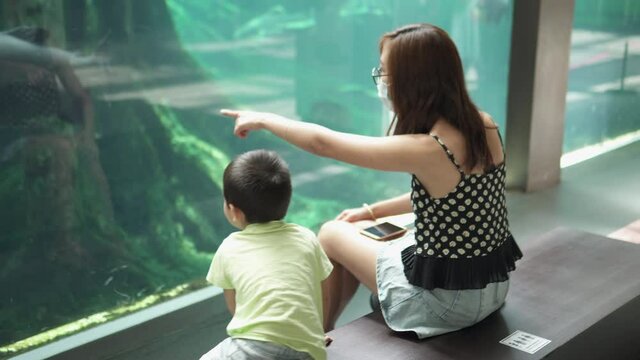 Little boy having fun at the museum looking at fish with his mom. Asian woman wearing a face mask at the science and natural museum with her son. Family time on the weekend.