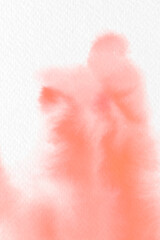 Fototapeta premium Abstract peach watercolor splash background vector