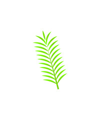 leaf icon,vector best flat icon.