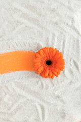 Orange flower on gray sand.  Minimal spring concept. Flat lay.