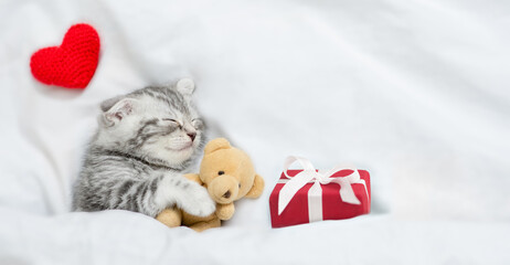 Tiny tabby kitten sleeps under white blanket with red heart and gift box and hugs toy bear. Top...