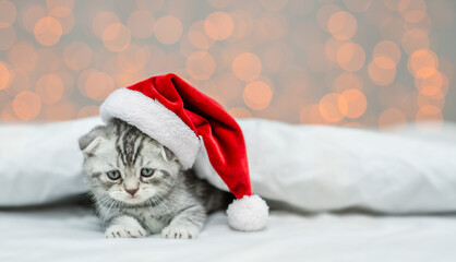 Cute tiny kitten wearing red santa hat lying under white blanket on festive background and looking at camera. Empty space for text