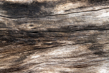 Fototapeta premium Weathered wooden texture with cracks photo. Old timber surface closeup. Natural background for vintage design