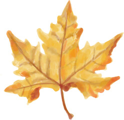 楓の葉っぱ水彩イラスト