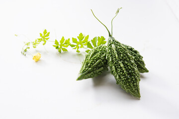 Fresh bitter gourds on white background