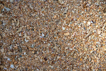 Grainy sand with shells and pebbles texture photo. Seaside sand surface top view. Relaxing day by sea on exotic island