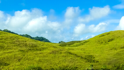 Fototapeta na wymiar scenery of green karst hill with white cloud ornament on it