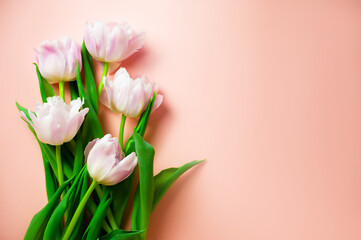 Banner. A bunch of pink tulips on a warm pink background from top with space for text. Flatlay