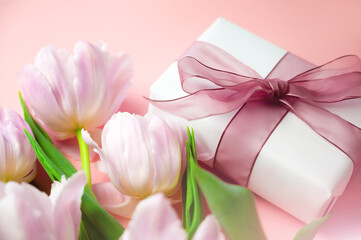 Banner. A bunch of pink tulips on a warm pink background beside a gift. Women's day concept.