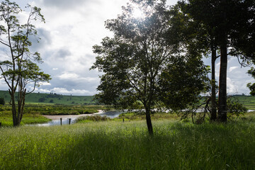 Green Grassy field lit with afternoon sunlight, natural lake in the background with clouded skies and a grassed hillside. 
