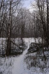 Walking path through ravine in winter forest