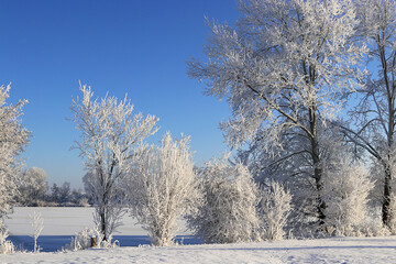 Hintergrund Winter am Altmühlsee