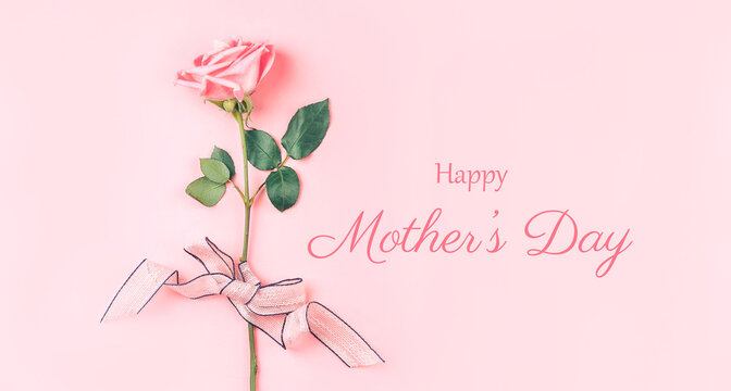 Beautiful rose of pink color against a pink background. Photo caption happy mother's day. Greeting card