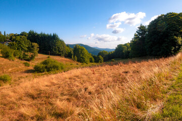 Paysage des plateaux des Vosges en France par une belle journ&eacute;e estivale, avec la lande s&eacute;ch&eacute;e la for&ecirc;t de r&eacute;sineux et des nuages dans le ciel.
