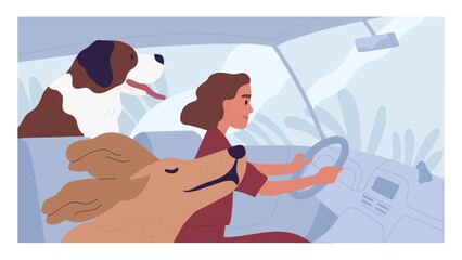 Young person driving car with happy dogs. Concept of pet taxi service. Side view of woman driver traveling with animals. Colored flat cartoon vector illustration of road trip