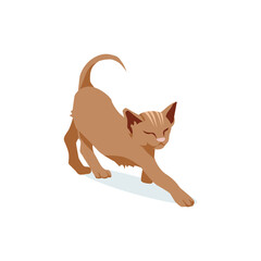 Cute brown cat pet animal. Adorable kitten with funny face expression cartoon vector illustration isolated on white background