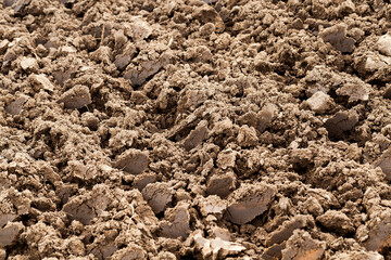 plowed land, close-up