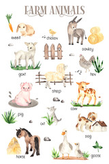 Watercolor Farm Animals illustrations on white background. Cute little donkey, pig, goat, sheep, cow, cat, dog, horse, goose, chicken, hen, rabbit for kids