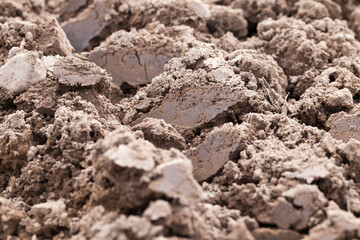 plowed land, close-up