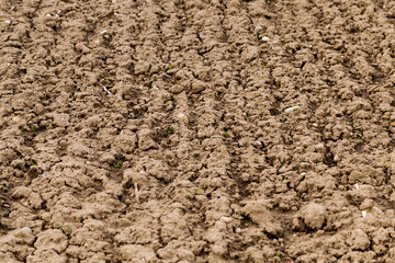 plowed agricultural field