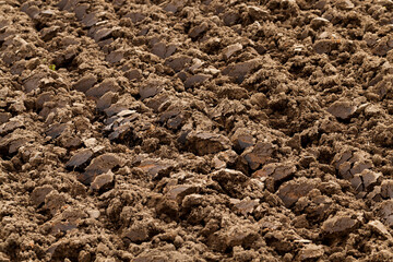 plowed agricultural field