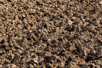 plowed agricultural field