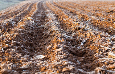 plowed land, frost