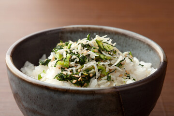 野沢菜しらすのごはん