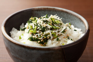 野沢菜しらすのごはん