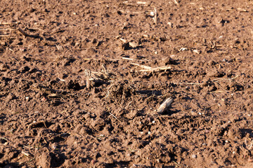 plowed for sowing the land