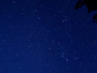 a starry sky on Current Island in the month of February, Bahamas